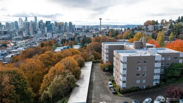 Queen Anne Green Belt is directly to the East of the Comples, with native habitat and walking and running trails