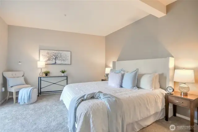 Primary bedroom suite is very spacious with extra large wrap-a-round walk-in closet. Brand new carpet.