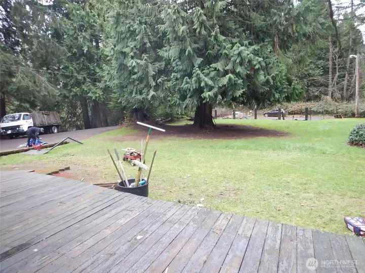 Front yard with lots of space for games