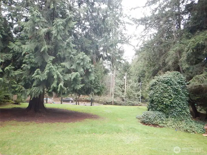 More of the park-like grounds