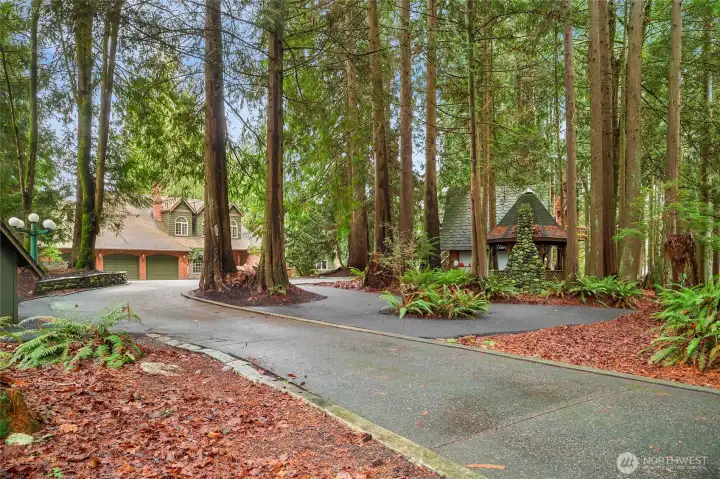 Natural plantings with mature trees for privacy and ease of maintenance.