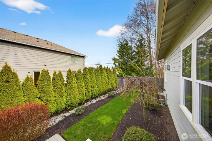 Private backyard with natural screening and fencing.