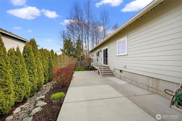 View of backyard space.