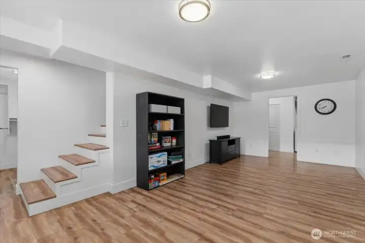 Lower Level Family Room