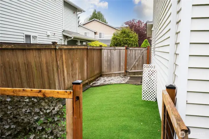 Side Yard