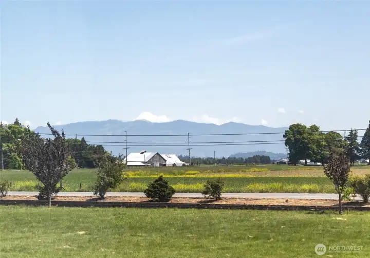 Mt Baker views