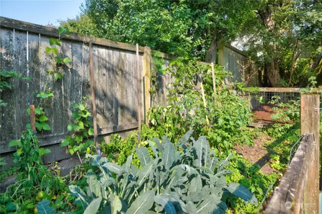 Garden area