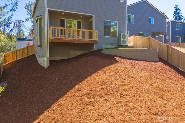 Backyard.