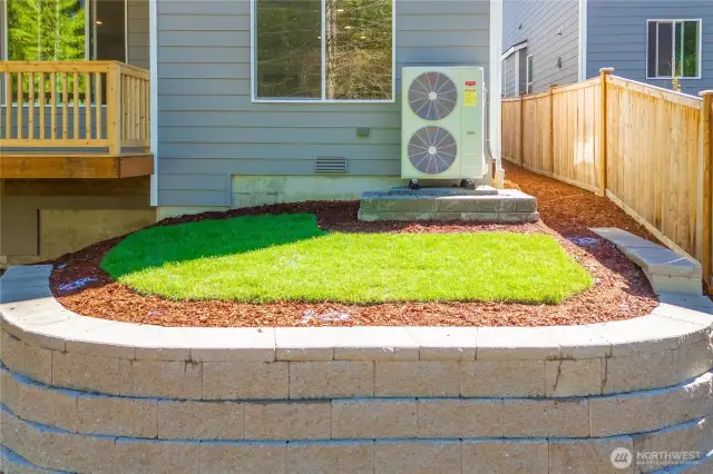 Backyard.