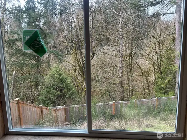 Backyard view. This home has greenbelt on back and right side  & is at end of culdesac for privacy.