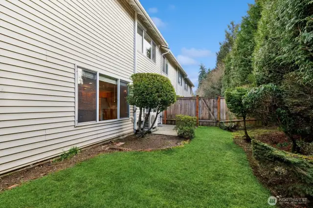Fenced yard