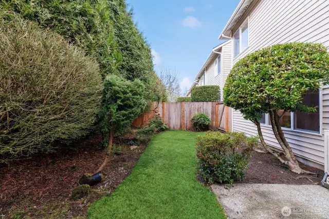 Fenced yard