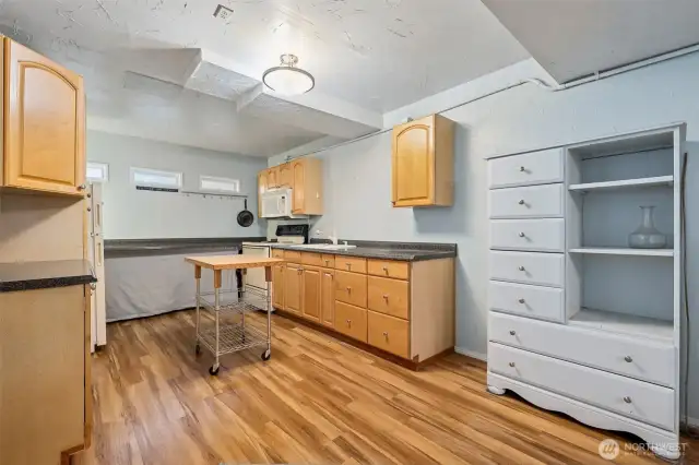 Lower level full kitchen-perfect MIL/Rental potential