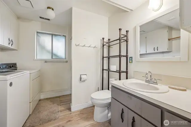 Lower level bathroom and laundry
