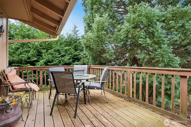 Expensive deck off the back of the home.