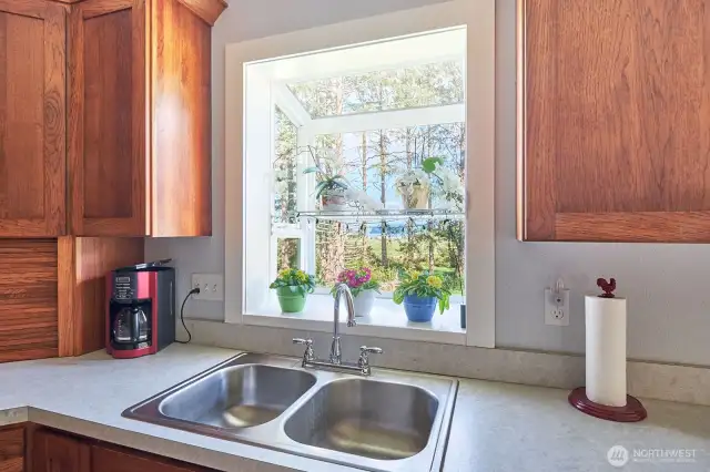 Classic east-facing kitchen sink window! The garden window makes it even better!