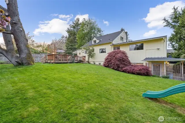 Backyard/ property