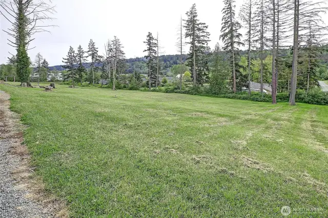 Established pasture