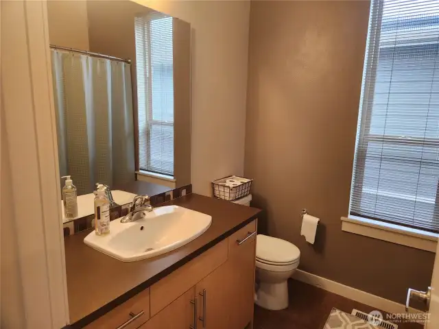 Guest bathroom