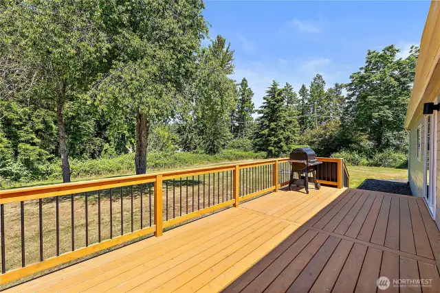LARGE DECK, GREAT FOR ENTERTAINING
