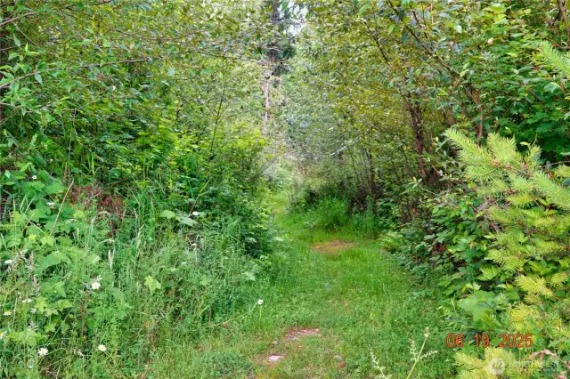 path to seasonal creek