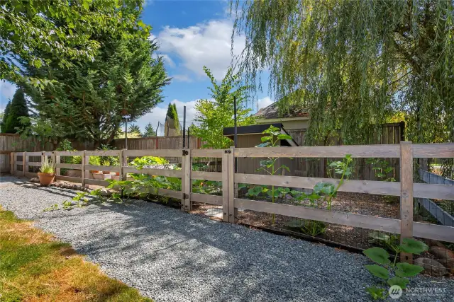 Back yard fenced garden space