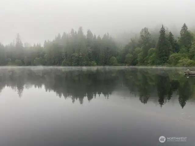 Lovely even in gloomy weather