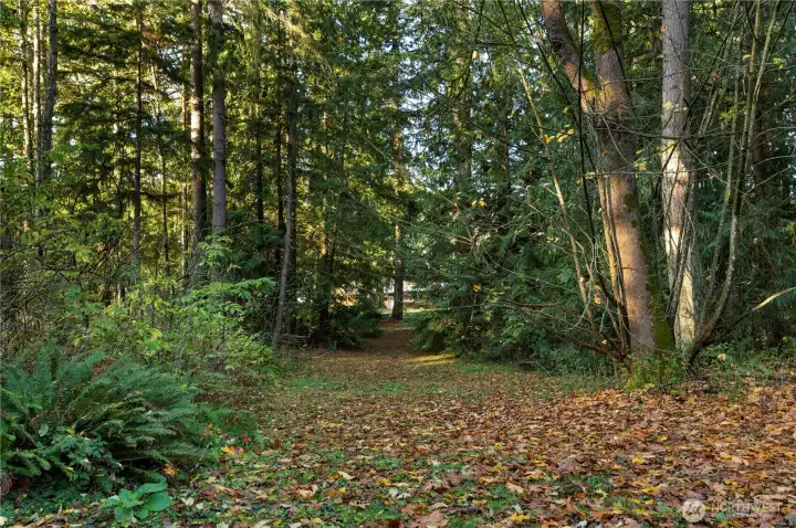 Park-like 1.5 acres.