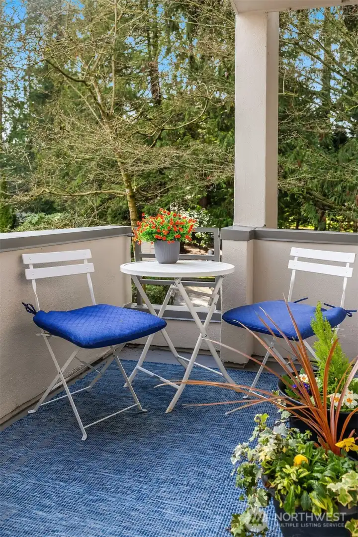 Outdoor Deck off Bedroom #2