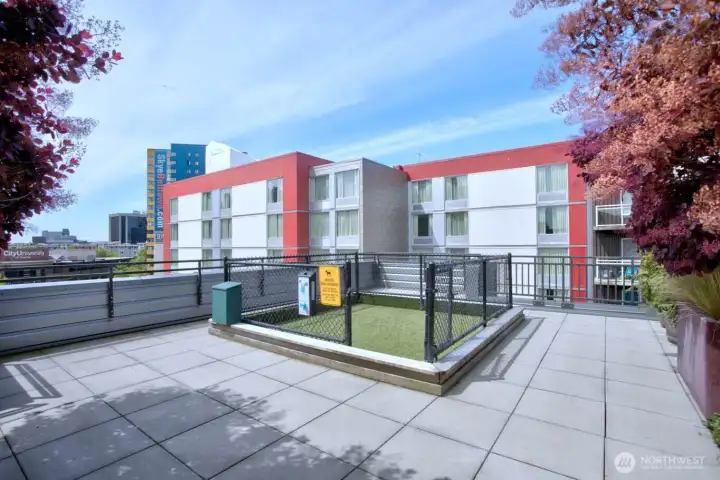 Pet relief area on the rooftop