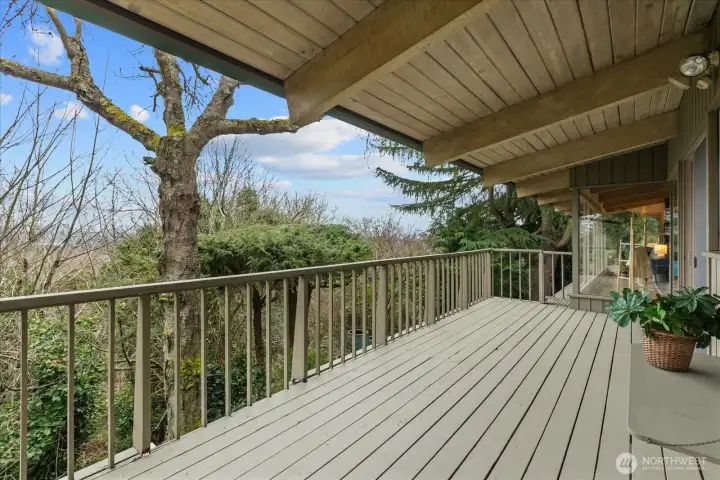 Entertainment size deck to enjoy the natural setting. Very peaceful and secluded. Wintertime views of Lake Washington the Cascades, and peekabo of Mt. Rainier