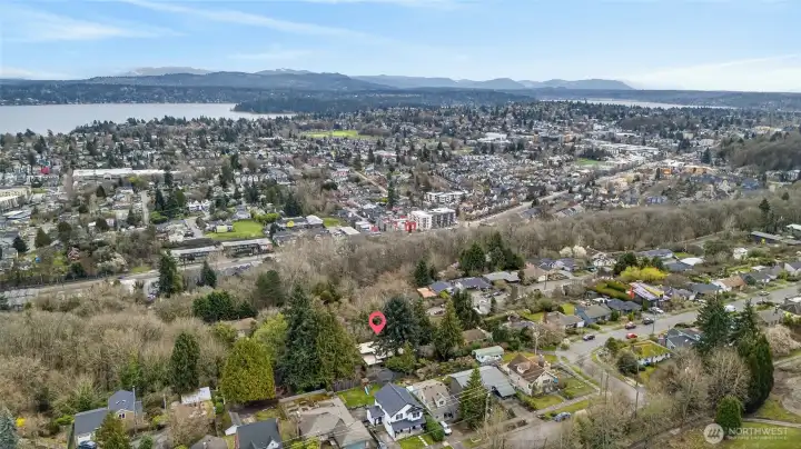 Great location close to Seward Park, across from Jefferson Golf Course, and Park. Minutes Columbia City, Lake Washington, West Seattle, Capitol Hill, 1-90, 1-5, and Light rail stations.