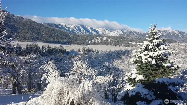 View from house in winter