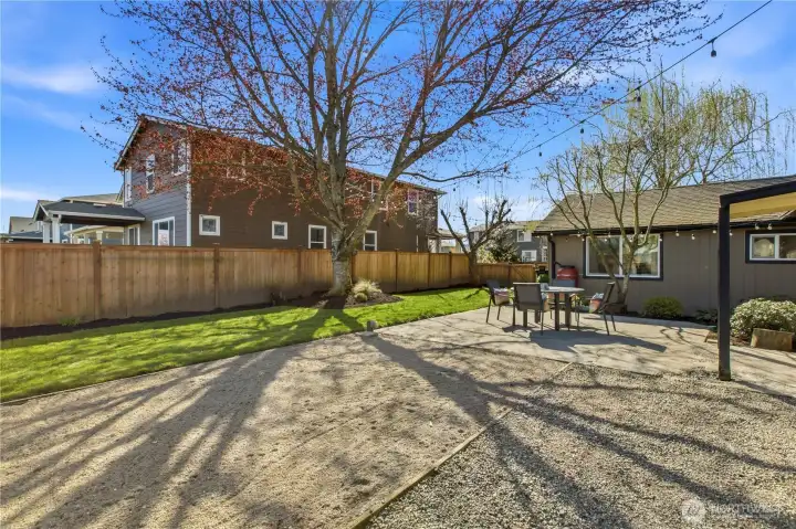 Sprawling backyard with privacy maple tree cover and large patio