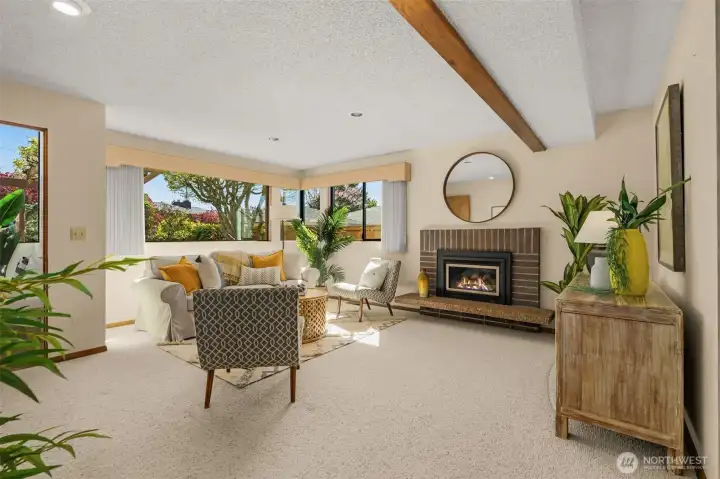 Rec space on lower level with propane fireplace