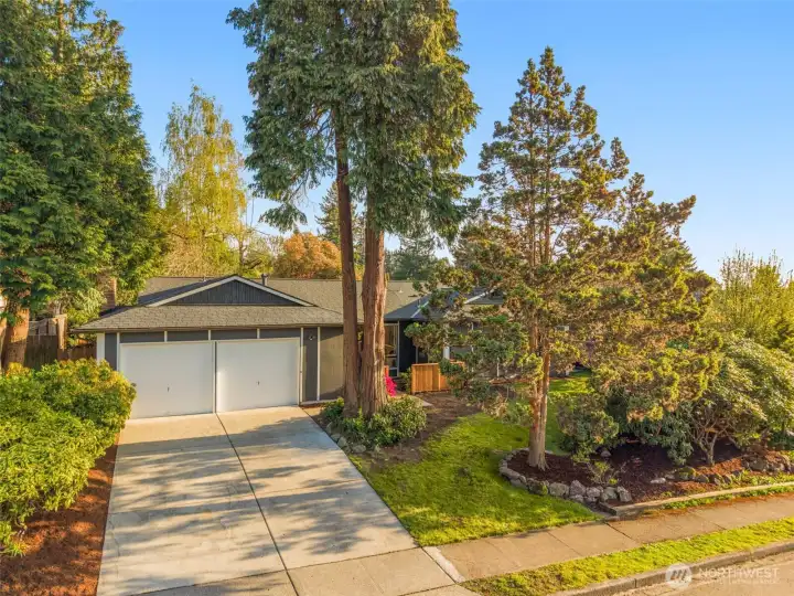 Major system upgrades include newer roof, furnace, hot water tank, electrical panel, windows, all lighting, new electrical outlets and switches, and interior / exterior paint.