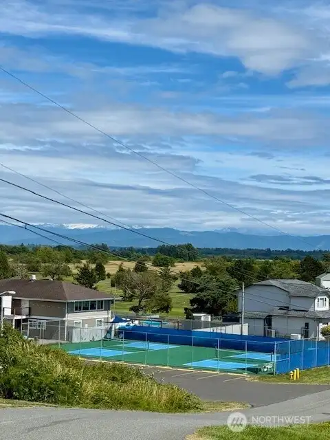 Pickleball courts. And there is a park with playground and basketball courts too.