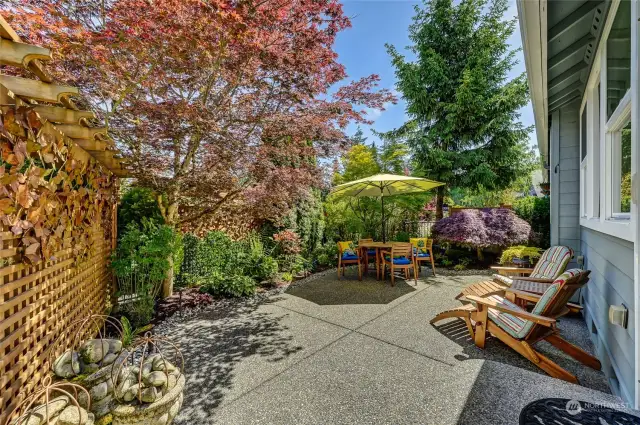 This Washing plan home has a secret garden surprise! The backyard was professionally designed for beauty and privacy. Enjoy the overside patio, mature plantings and garden lighting.