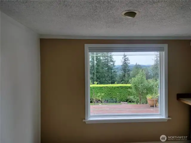 Dining room window looking at view.