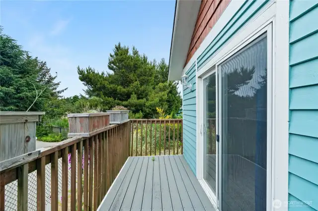 Back deck off primary room