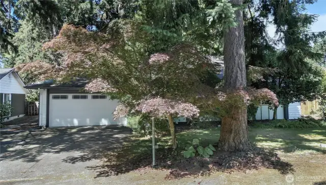 Fresh exterior pain on this private 1 1/2 story home that lives like a rambler.