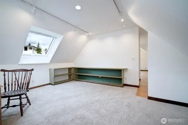 the skylights in this bonus room open and close