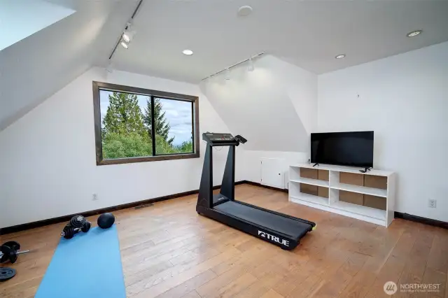 Flex space over the garage can provide additional hobby or office space or create another Guest suite.  it is built with plumbing capacity to create as many as 2 additional bedrooms