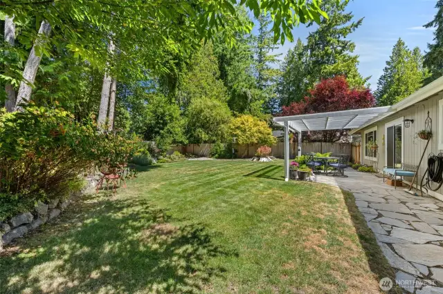Back yard