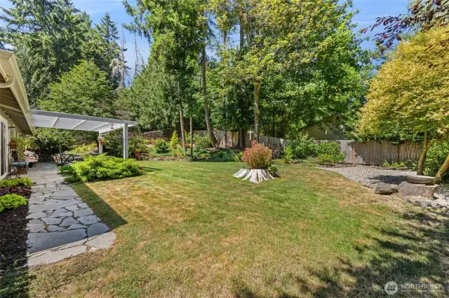 Back yard