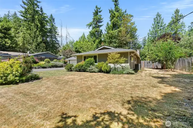 Back yard