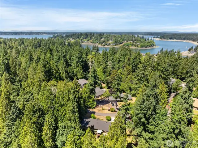 Proximity to Wollochet Bay