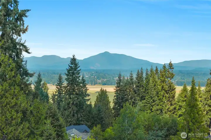 View from Deck