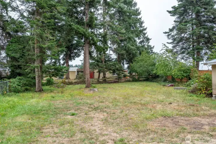 Backyard.