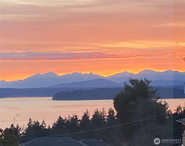 Yes, this looks like a postcard, but this WAS taken from the house!!